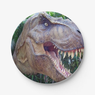Assiettes En Carton Plaques de papier dinosaure