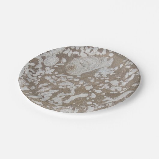 Assiettes En Carton Plaques de papier fossile dévonien (Angle)