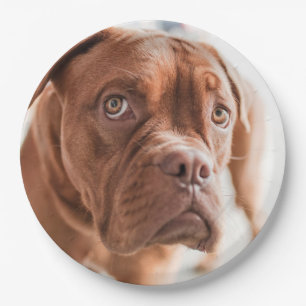 Assiettes En Carton Plaques de papier mignonne chien 6