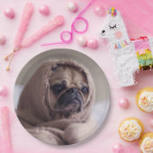 Assiettes En Carton Plaques de papier mignonne Chien 8 (Fête)