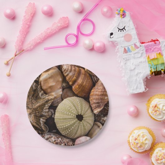 Assiettes En Carton Plaques de papier Mixte Sea Shells (Fête)