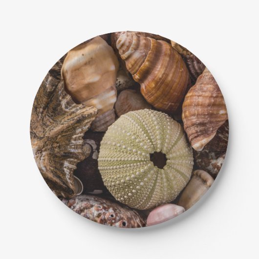 Assiettes En Carton Plaques de papier Mixte Sea Shells (Devant)