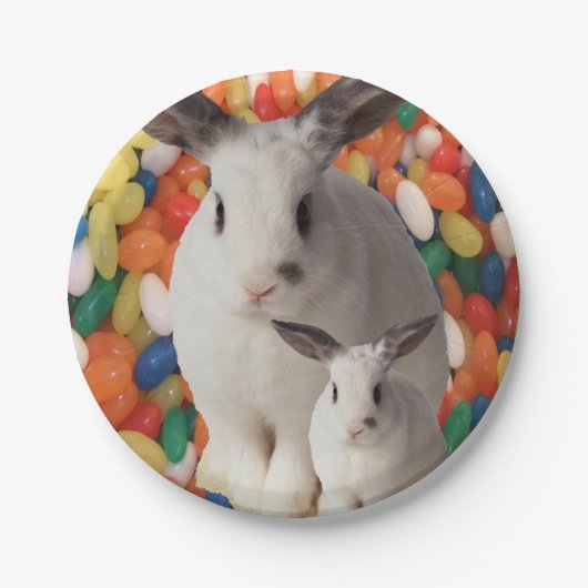 Assiettes En Carton Plaques de papier Pâques (Devant)