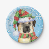 Assiettes En Carton Plaques de papier pasteur de Noël (Devant)