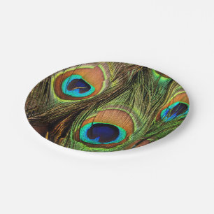 Assiettes En Carton Plaques de papier Peacock Feathers