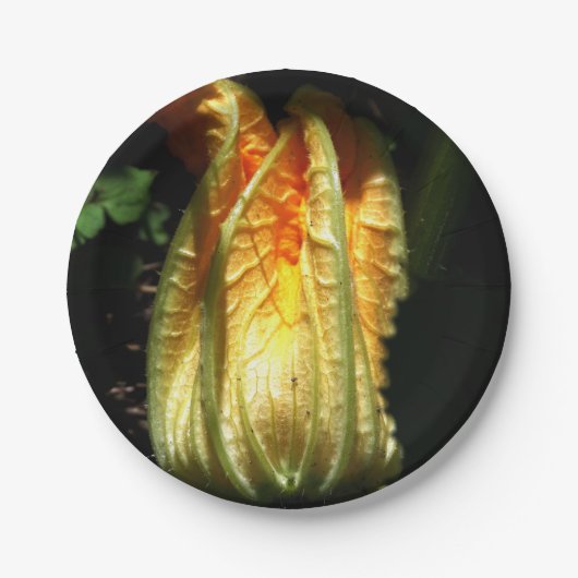 Assiettes En Carton Plaques de papier personnalisées en Citrouille, Ru (Devant)