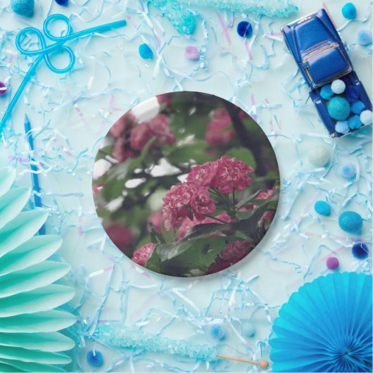 Assiettes En Carton Plaques de papier personnalisées Spring Sprunt 7 p (Fête)