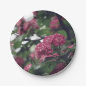 Assiettes En Carton Plaques de papier personnalisées Spring Sprunt 7 p (Devant)