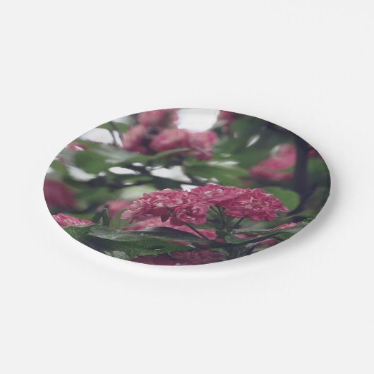 Assiettes En Carton Plaques de papier personnalisées Spring Sprunt 7 p (Angle)