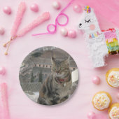 Assiettes En Carton Plaques de papier photo pour chat (Fête)