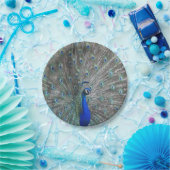 ASSIETTES EN CARTON PLAQUES DE PAPIER PHOTOGRAPHIQUE PEACOCK (Fête)