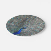 ASSIETTES EN CARTON PLAQUES DE PAPIER PHOTOGRAPHIQUE PEACOCK (Angle)