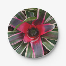 Plaques de papier Plante Vase