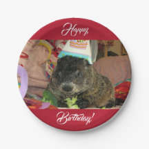 Plaques de papier pour l'anniversaire de Groundhog