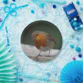 Assiettes En Carton Plaques de papier Robin (Fête)