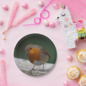 Assiettes En Carton Plaques de papier Robin (Fête)