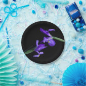 Assiettes En Carton Plaques de papier rond Iris doubles (Fête)