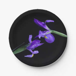 Assiettes En Carton Plaques de papier rond Iris doubles