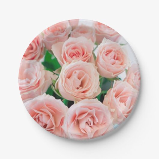 Assiettes En Carton Plaques de papier rose (Devant)