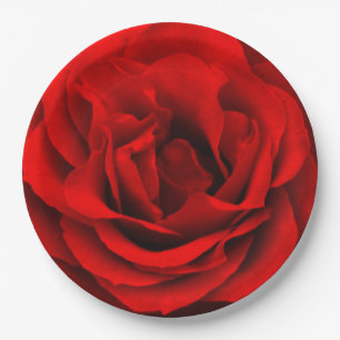 Assiettes En Carton Plaques de papier rose rouge feu