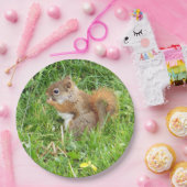 Assiettes En Carton Plaques de papier " Thème, Beau écureuil rouge " (Fête)