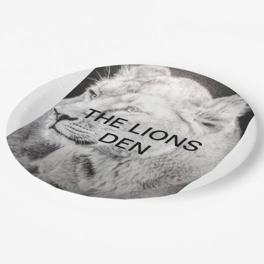 ASSIETTES EN CARTON PLAQUES DE PAPIER TLD (Angle)