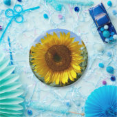 Assiettes En Carton Plaques de papier tournesol (Fête)