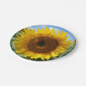 Assiettes En Carton Plaques de papier tournesol (Angle)