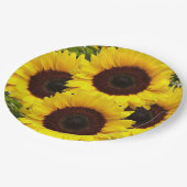 Assiettes En Carton Plaques de papier tournesol (Angle)