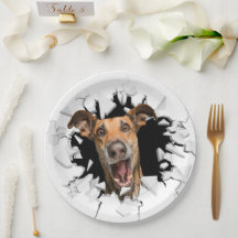 Plaques de papier vissé pour chien amusant