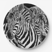 Assiettes En Carton Plaques de papier Zebra (Devant)
