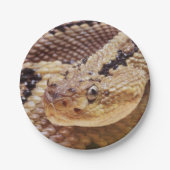 Assiettes En Carton Plaques de pâte à papier de crotlesnake (Devant)