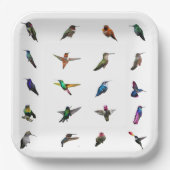 Assiettes En Carton Plaques en papier Arrière - plan de Hummingbirds (Recto)