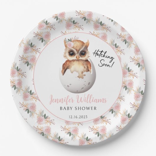 Assiettes En Carton Plaques en papier baby shower pour hibou à couver (Devant)