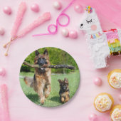 Assiettes En Carton Plaques en papier berger allemandes (Fête)