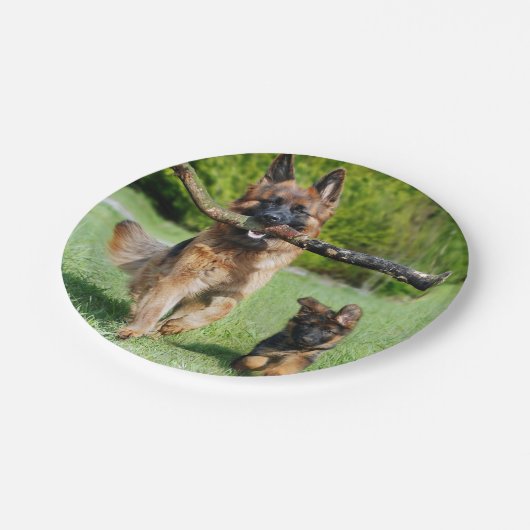 Assiettes En Carton Plaques en papier berger allemandes (Angle)