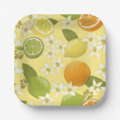 Assiettes En Carton Plaques en papier d'agrumes d'été (Recto)