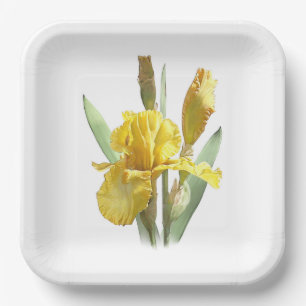 Assiettes En Carton Plaques en papier d'art botanique Iris à poils jau