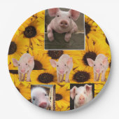 Assiettes En Carton Plaques en papier de cochons de tournesol (Devant)