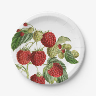 Assiettes En Carton Plaques en papier de dessin de la framboise rouge