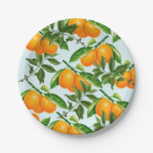 Assiettes En Carton Plaques en papier de petites oranges (Devant)