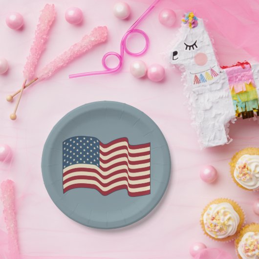Assiettes En Carton Plaques en papier drapeau américain (Fête)