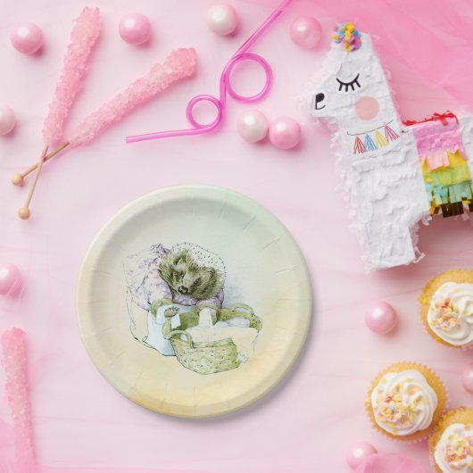 Assiettes En Carton Plaques en papier Mme Tiggy-Winkle (Fête)