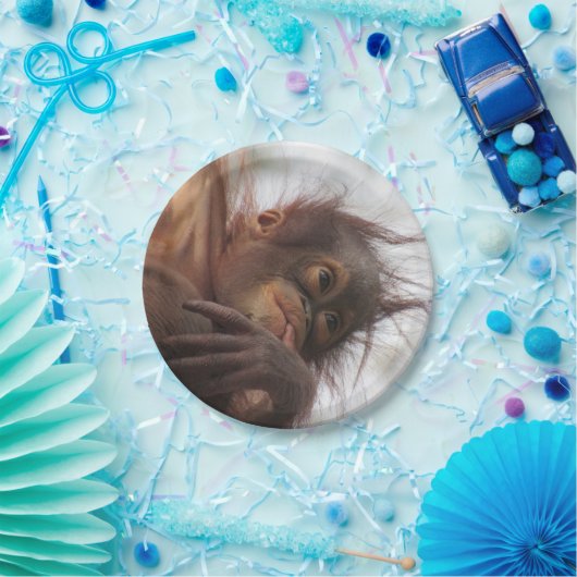 Assiettes En Carton Plaques en papier Orangutan bébé (Fête)