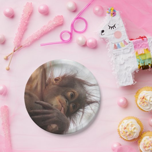 Assiettes En Carton Plaques en papier Orangutan bébé (Fête)