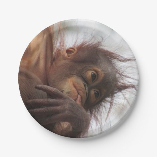Assiettes En Carton Plaques en papier Orangutan bébé (Devant)