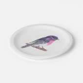 Assiettes En Carton Plaques en papier Robin (Angle)