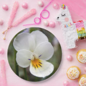 Assiettes En Carton Plaques en papier sansé (Fête)