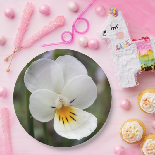 Assiettes En Carton Plaques en papier sansé (Fête)