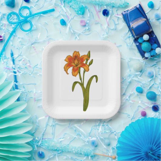 Assiettes En Carton Plaques en papier tawny (Fête)